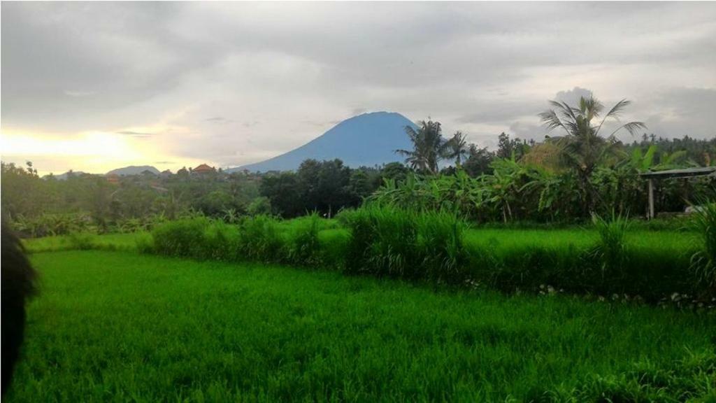 Intaran Karangasem (Bali)