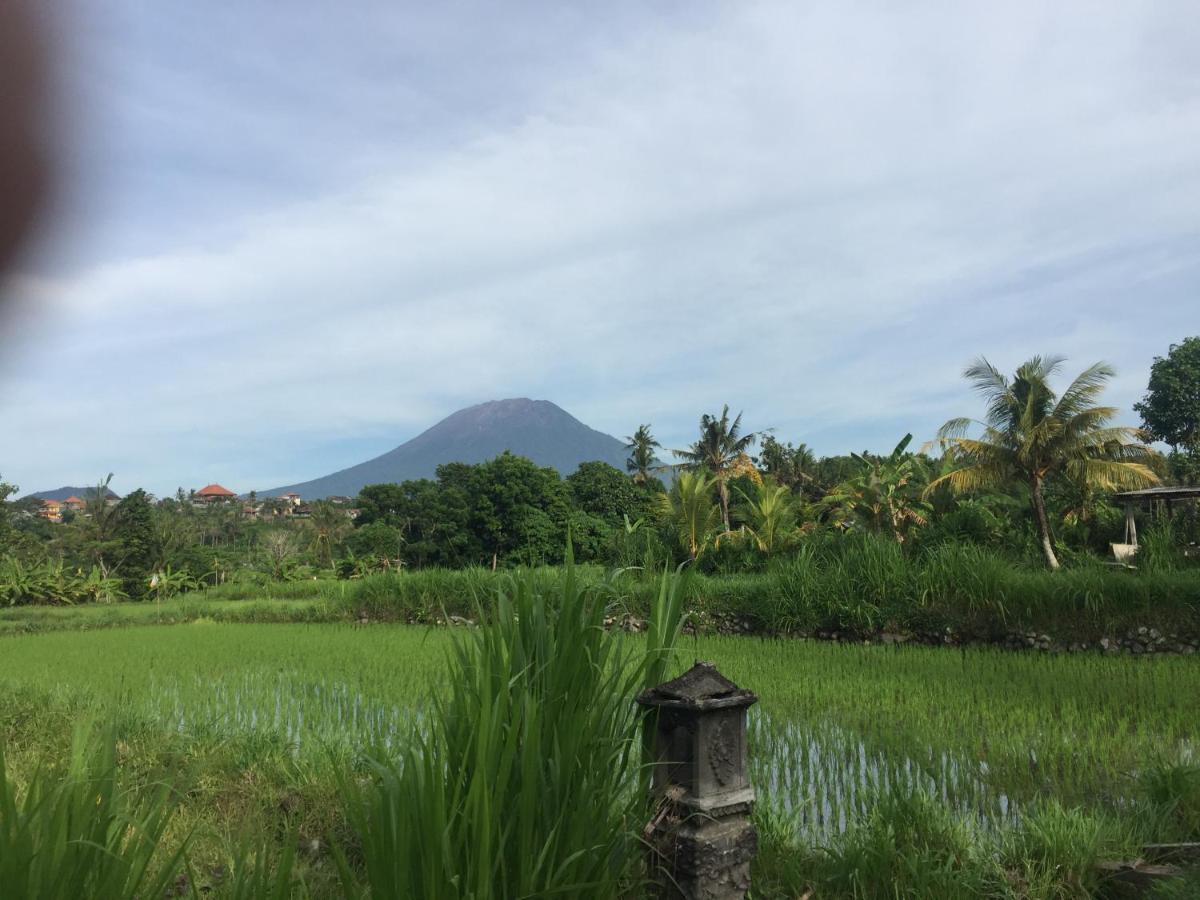Intaran Homestay *